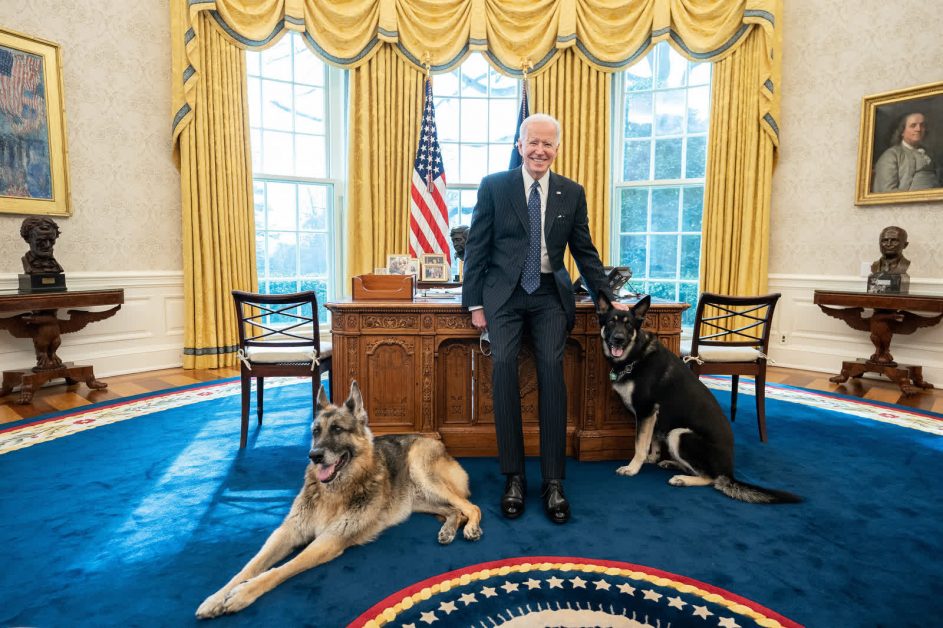 Tổng thống Joe Biden tạo dáng bên hai chú chó cưng Champ và Major trong Phòng Bầu dục. Ảnh: Adam Schultz/W.H