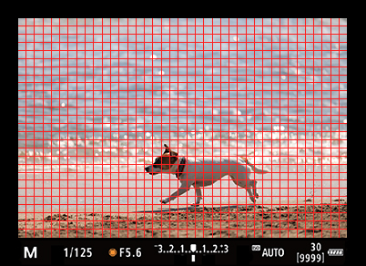 Số điểm tự động lấy nét/phạm vi AF trên một chiếc máy ảnh mirrorless (Ví dụ: EOS R5 - phạm vi lên đến 100% x 100%)